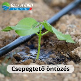 Csepegtető öntözés: precíz, víztakarékos öntözés egyszerűen