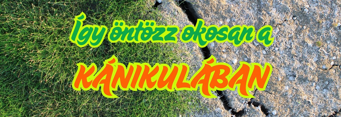 Így öntözz okosan a kánikulában: Az automata öntözőrendszer optimális beállítása nagy melegben