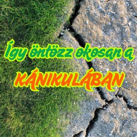 Így öntözz okosan a kánikulában: Az automata öntözőrendszer optimális beállítása nagy melegben